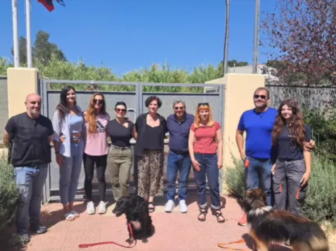 Η Κυνοφιλία στο 9ο Νηπιαγωγείο Παλλήνης — «Μαθαίνω για τα Αδέσποτα»