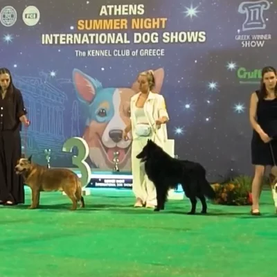 Ζωή